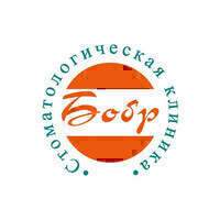 Стоматологическая клиника Бобр на Ленинском