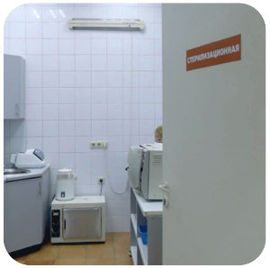 Экостом