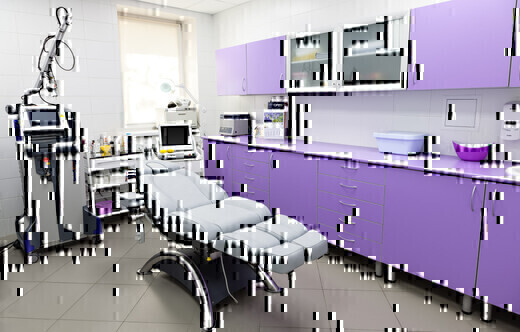 Фрау клиник