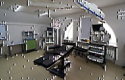 Фрау клиник