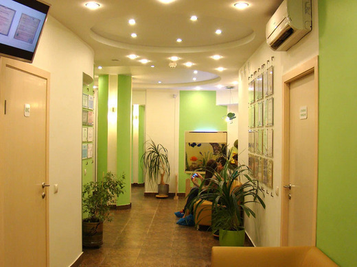 Интердентос Королев на Космонавтов 37