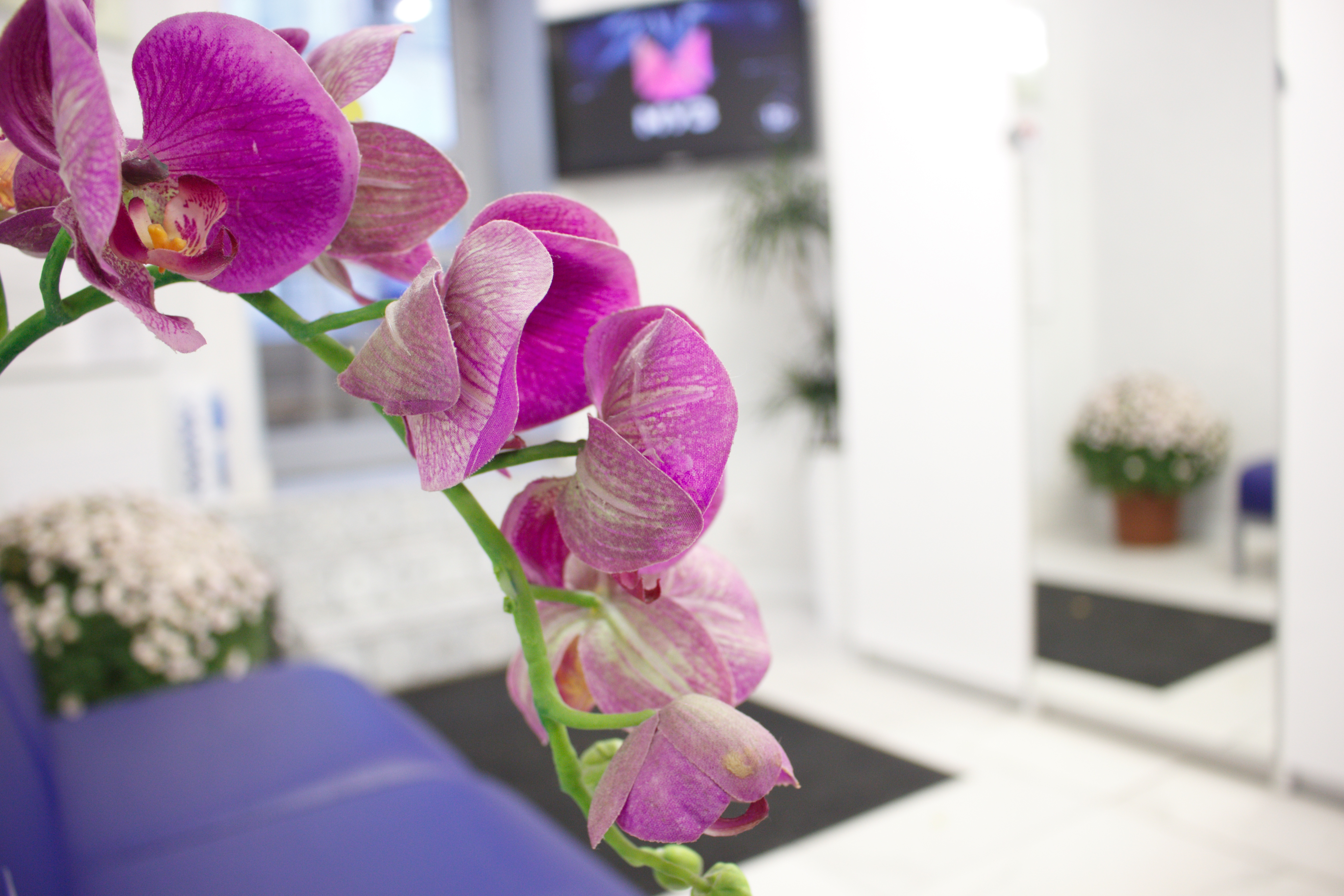 Mesedclinic (Меседклиник) Арбат