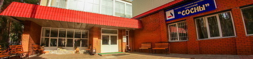 Санаторий Сосны